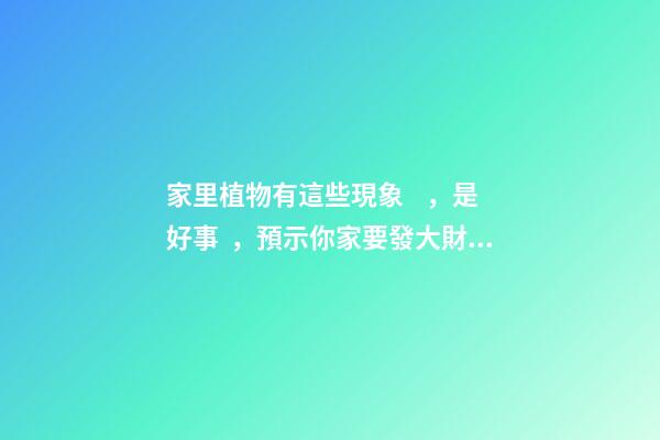 家里植物有這些現象，是好事，預示你家要發大財了！